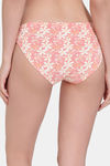 Zivame Anti-Microbial Low Rise Full Coverage Bikini Panty (Pack of 3) - Multicolor — thumbnail 3
